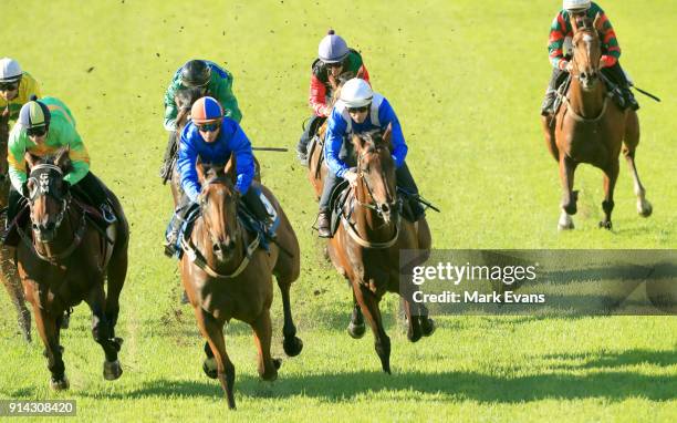 Hugh Bowman on Winx competes in a barrier trial at Rosehill Gardens on February 5, 2018 in Sydney, Australia.