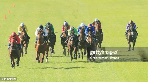 Hugh Bowman on Winx competes in a barrier trial at Rosehill Gardens on February 5, 2018 in Sydney, Australia.