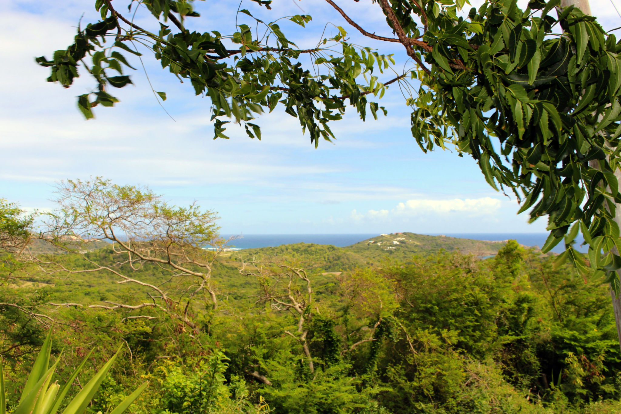 antigua ziplining