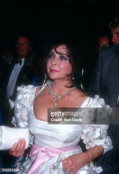British-American actress Elizabeth Taylor attends the 1992 Carousel of Hope Ball to Benefit the Barbara Davis Center for Childhood Diabetes on...