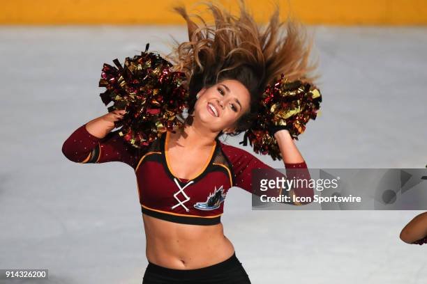 The Monsters Hockey Girls perform during the American Hockey League game between the Grand Rapids Griffins and Cleveland Monsters on February 4 at...