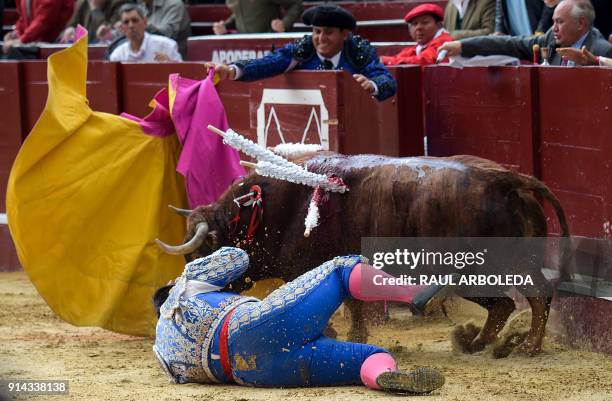 Colombian banderillero Hernando Franco is on the ground after being hit by a bull during a bullfight at the La Santamaria bullring in Bogota,...