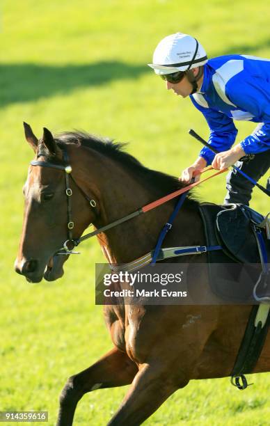 Hugh Bowman on Winx heads out of the mounting yard before a barrier trial at Rosehill Gardens on February 5, 2018 in Sydney, Australia.