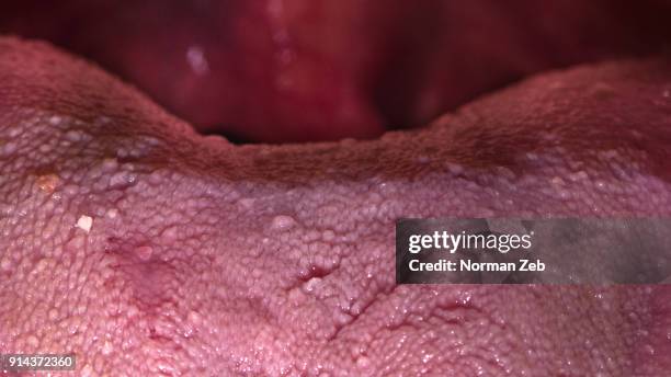 the human tongue - human tongue stock pictures, royalty-free photos & images
