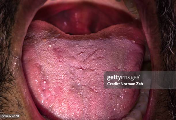 the human tongue - full - sand spit stock pictures, royalty-free photos & images