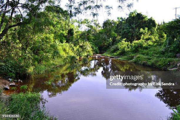 brazilian river. río brasileño. - brasileño stock-fotos und bilder