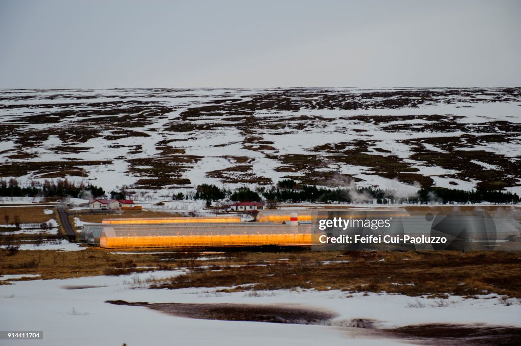 Farm house and winter landscape at Hveragerdi, Southern region, Iceland