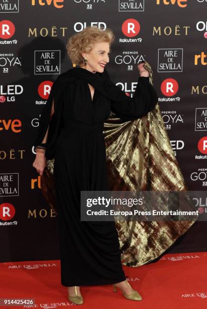 Marisa Paredes attends Goya Cinema Awards 2018 at Madrid Marriott Auditorium on February 3, 2018 in Madrid, Spain.