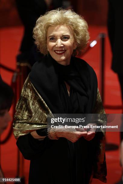 Marisa Paredes attends Goya Cinema Awards 2018 at Madrid Marriott Auditorium on February 3, 2018 in Madrid, Spain.