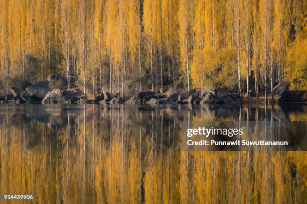 autumn reflection at upper kachura lake in skardu, pakistan - skardu fotografías e imágenes de stock