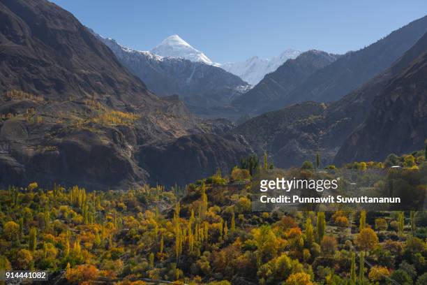 autumn in hunza valley, gilgit baltistan, pakistan - baltistan bildbanksfoton och bilder