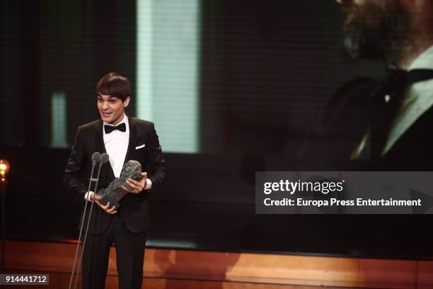 Eneko Sagardoy attends the 32nd edition of the 'Goya Cinema Awards' ceremony at Madrid Marriott Auditorium on February 3, 2018 in Madrid, Spain.