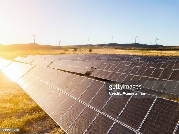 solar panels in sunset background. - solar farm stock-fotos und bilder
