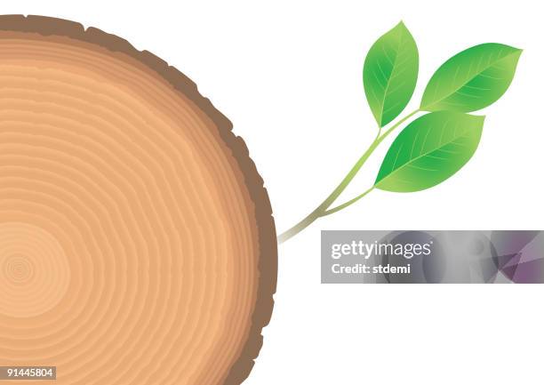 age - tree ring stock illustrations