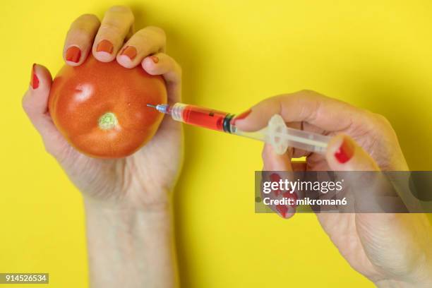 female scientist extracting liquid from tomato. tomato with a syringe stuck concept of genetically modified foods or gmos - genetically modified food stock pictures, royalty-free photos & images