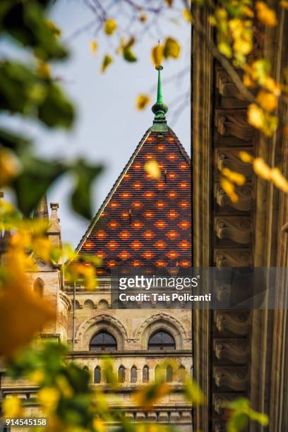 colourful tile tower of st. pierre cathedral - geneva, switzerland, europe - st pierre cathedral geneva stock pictures, royalty-free photos & images