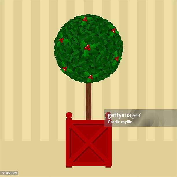 christmas buxus - winterberry holly stock illustrations