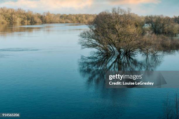 winter flooding of the loire river in angers france - inondation photos et images de collection