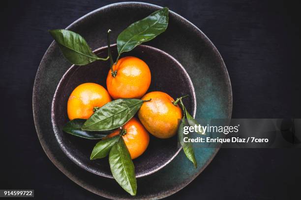 four tiny mandarins still life in bowl - winter vegetables foto e immagini stock