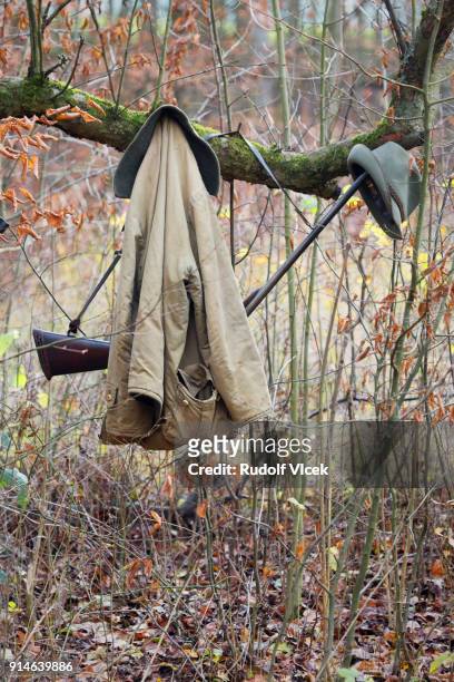 hunting equipment, rifles (weapons), coats hanging on a tree branch in forest - czech hunters imagens e fotografias de stock