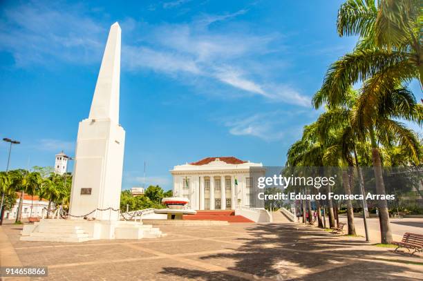 rio branco palace - rio branco stock pictures, royalty-free photos & images