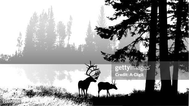 mountain lake wildlife - deer antler silhouette stock illustrations