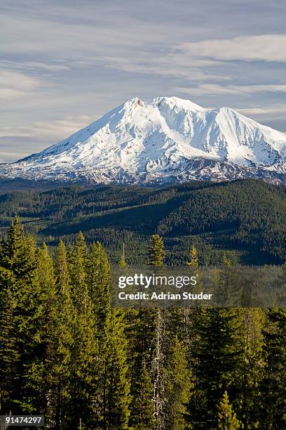 mount adams - montanha adams imagens e fotografias de stock