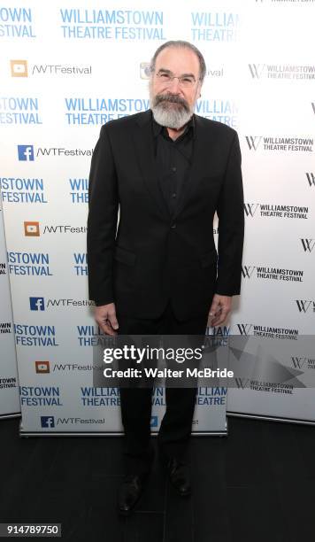 Mandy Patinkin attends the 2018 Williamstown Theatre Festival Gala at the Tao Downtown on February 5, 2018 in New York City.