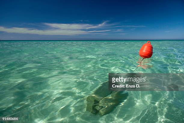 an orange buoy floating on the sea - buoy stock pictures, royalty-free photos & images
