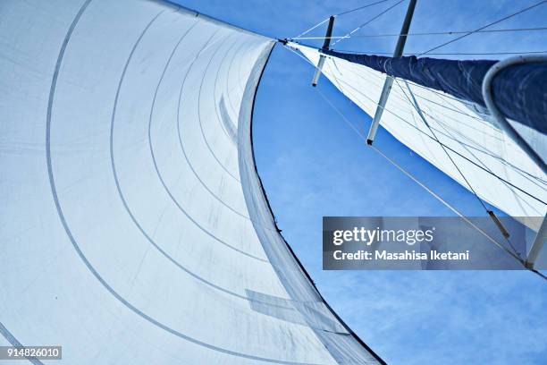 sail of a yacht under the wind - voile bateau photos et images de collection