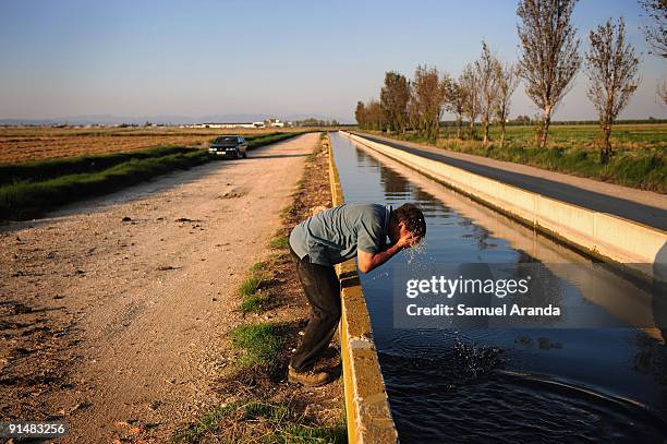 Farmer cleans his face after a days work during the rice harvest in the Ebro Delta on October 6, 2009 in Aposta near Valencia, Spain. The Ebro Delta...