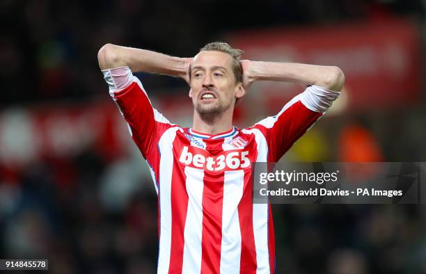 Stoke City's Peter Crouch