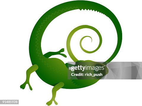 Chameleon Chameleon