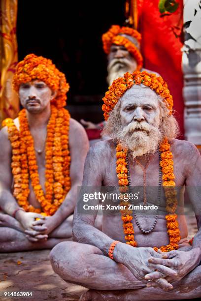 Naga Sadhus in lotus position with painted body covered with ashes and garlands of orange flowers as necklaces and headdresses during Maha Shivaratri...