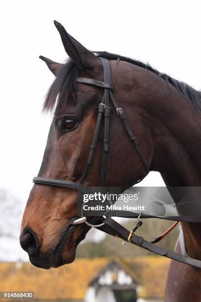 Nicky Henderson's top chaser Altior prick his ears at the Lambourne stables, ahead of the 2018 Betfair Exchange Chase at Newbury Racecourse, on...