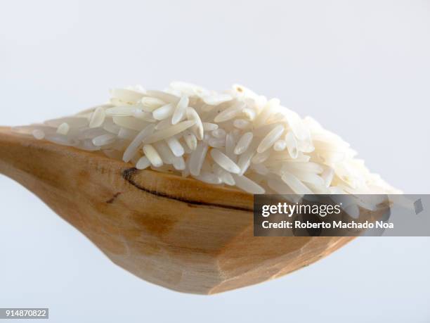 261 Roberto Machado Noa Rice Stock Photos, High-Res Pictures, and ...