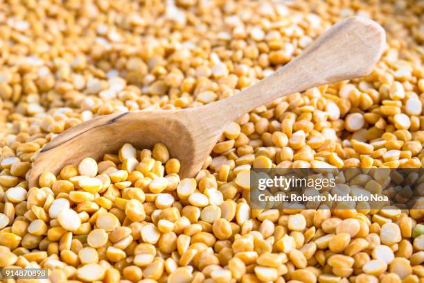 close-up of yellow split lentils, also known as chana dhal - lentil stock pictures, royalty-free photos & images