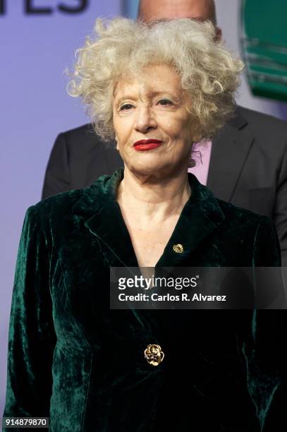 Actress Magui Mira attends the Gold Medals of Merit in Fine Arts 2016 ceremony at the Pompidou Center on February 6, 2018 in Malaga, Spain.