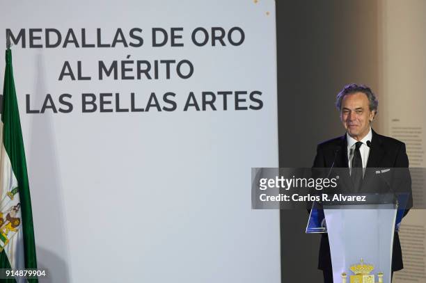 Actor Jose Coronado attends the Gold Medals of Merit in Fine Arts 2016 ceremony at the Pompidou Center on February 6, 2018 in Malaga, Spain.