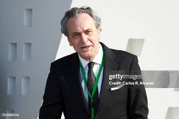 Actor Jose Coronado attends the Gold Medals of Merit in Fine Arts 2016 ceremony at the Pompidou Center on February 6, 2018 in Malaga, Spain.