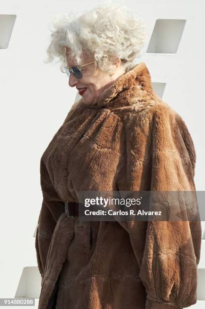 Actress Magui Mira attends the Gold Medals of Merit in Fine Arts 2016 ceremony at the Pompidou Center on February 6, 2018 in Malaga, Spain.