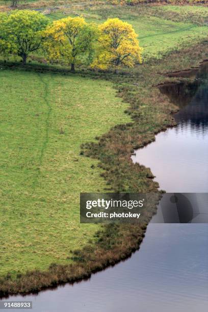 lochside abstract - loch tummel stock pictures, royalty-free photos & images