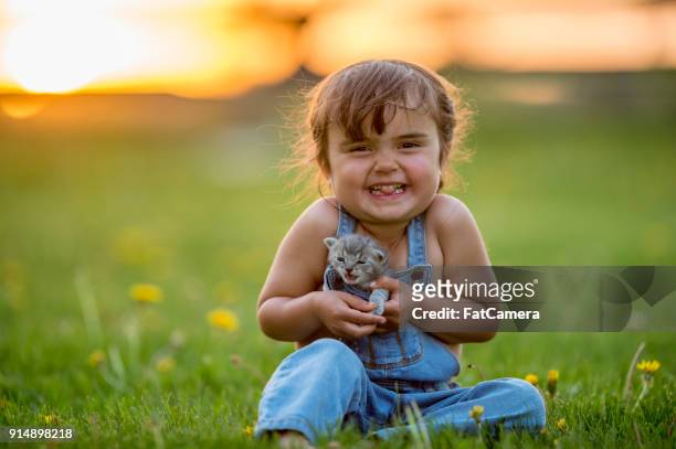 happy girl with kitten - girls jumpsuit stock pictures, royalty-free photos & images