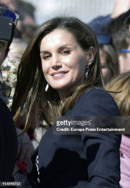 Queen Letizia of Spain attends deliver the Golden Medals to the Merit In Fine Arts 2016 on February 6, 2018 in Malaga, Spain.