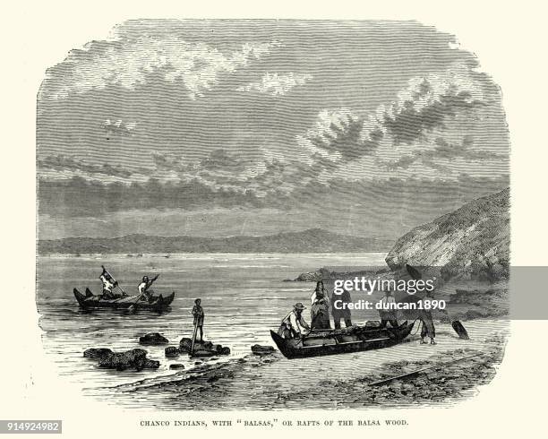 19点のバルサの木イラスト素材 Getty Images 19点のバルサの木イラスト素材 Getty Images