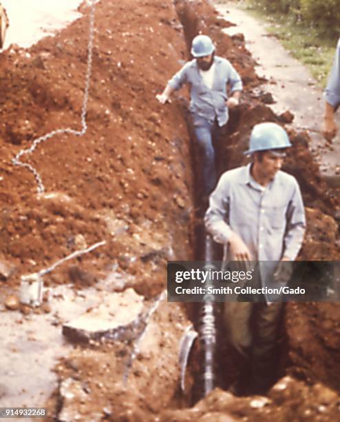 Chlordane 17 Chlordane Stock Photos, High-Res Pictures, and Images - Getty Images