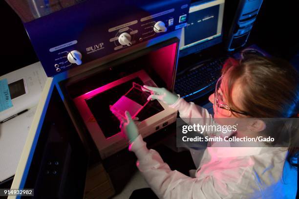 High angle photograph of Amanda McNulty, a NCHHSTP staff member, in a laboratory setting, holding an electrophoresis plate for DNA separation over...