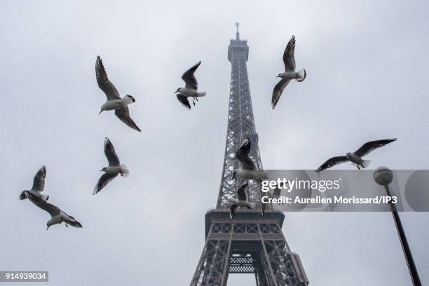 The Eiffel Tower under snowfall. Temperatures dropped since a few days now with the snowfall and the emergency cold plan has been launched on...