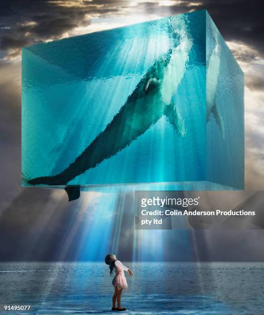 young girl looking up at whale in block of water - water form stock pictures, royalty-free photos & images