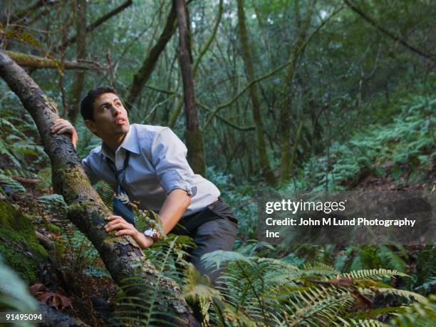 mixed race businessman in woods - desolation wilderness stock pictures, royalty-free photos & images